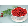 Health Food--Goji Berries